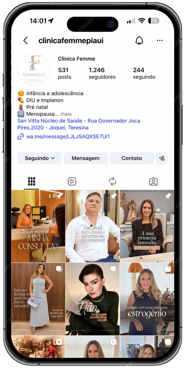 Perfil do Grupo Femme G.O no Instagram
